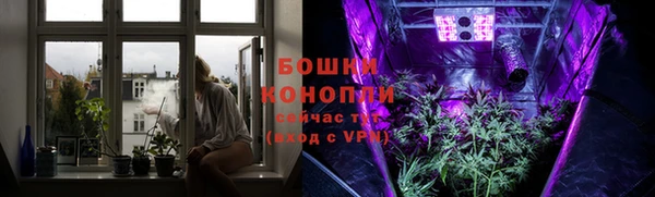 дмт Козловка