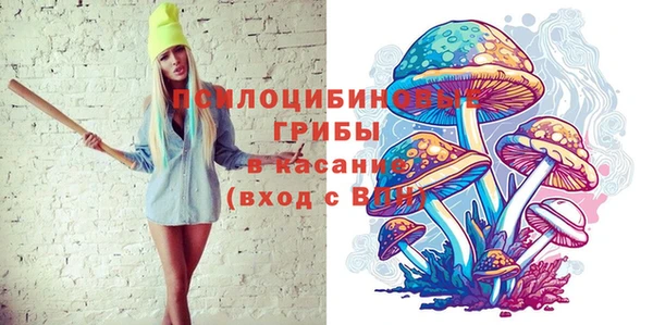 дмт Козловка