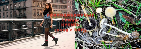 дмт Козловка